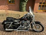 Harley-Davidson Sportster 883 Low - HARLEY-DAVIDSON 2005 883 SPORTSTER