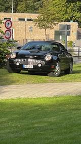 Ford Thunderbird Sondermod. 50 th Anniversary - Ford Thunderbird mit 3 Türen