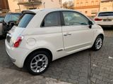 Fiat 500 1.4 16V Sport Panorama Schiebedach - Fiat 500: 16v Sport