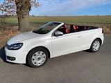 Volkswagen Golf 1.4 TSI 90 kW Cabriolet - - Volkswagen Golf: Cabrio, Golf4