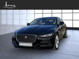 Jaguar XE Diesel D200 Aut. SE AWD - Jaguar XE aus 2021