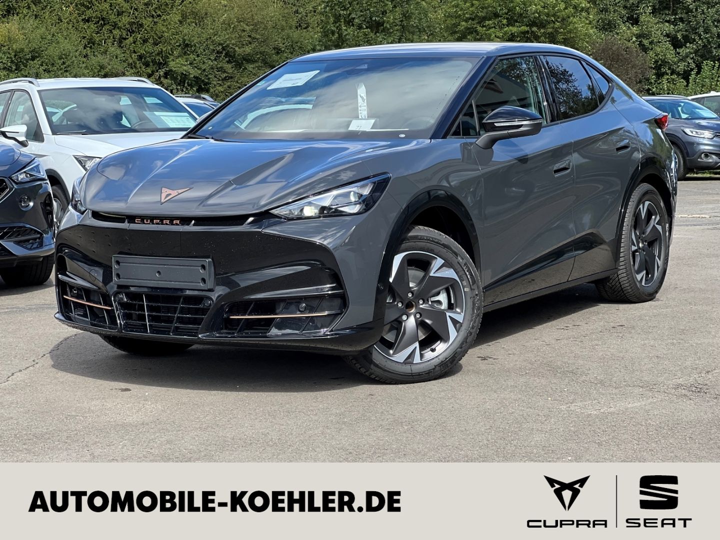 CUPRA Tavascan Endurance (286 PS) 77 kWh Ganzjahresr.