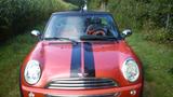MINI Mini Cooper - MINI Cooper C: Cabrio