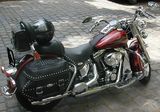 Harley-Davidson FLSTC Softail Classic - HARLEY-DAVIDSON 2001 SOFTAIL