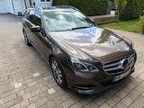 Mercedes-Benz E 220 CDI T AVANTGARDE AVANTGARDE - mit Diesel-Antrieb: Braun, Kombi