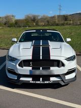 Ford Mustang EcoBoost Shelby GT 350 - Ford Mustang: Gt350 Shelby