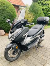 Honda Forza 300 - HONDA FORZA 300