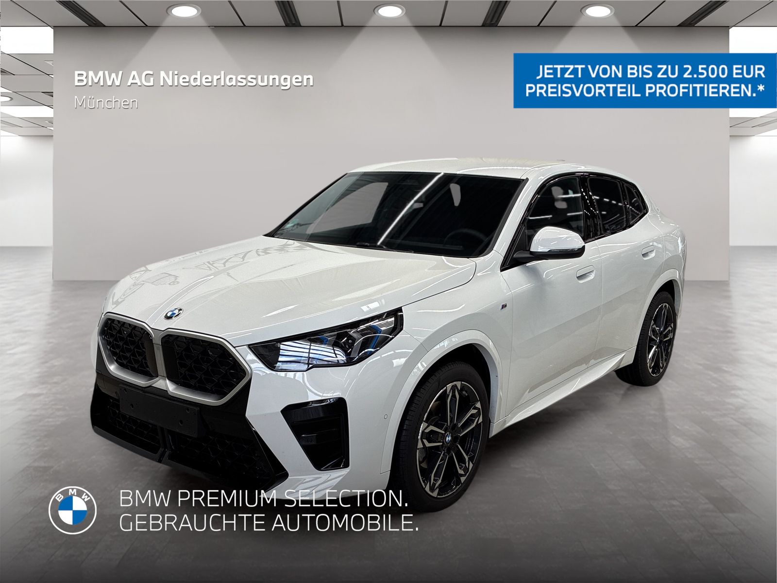 BMW X2 - Bild 1