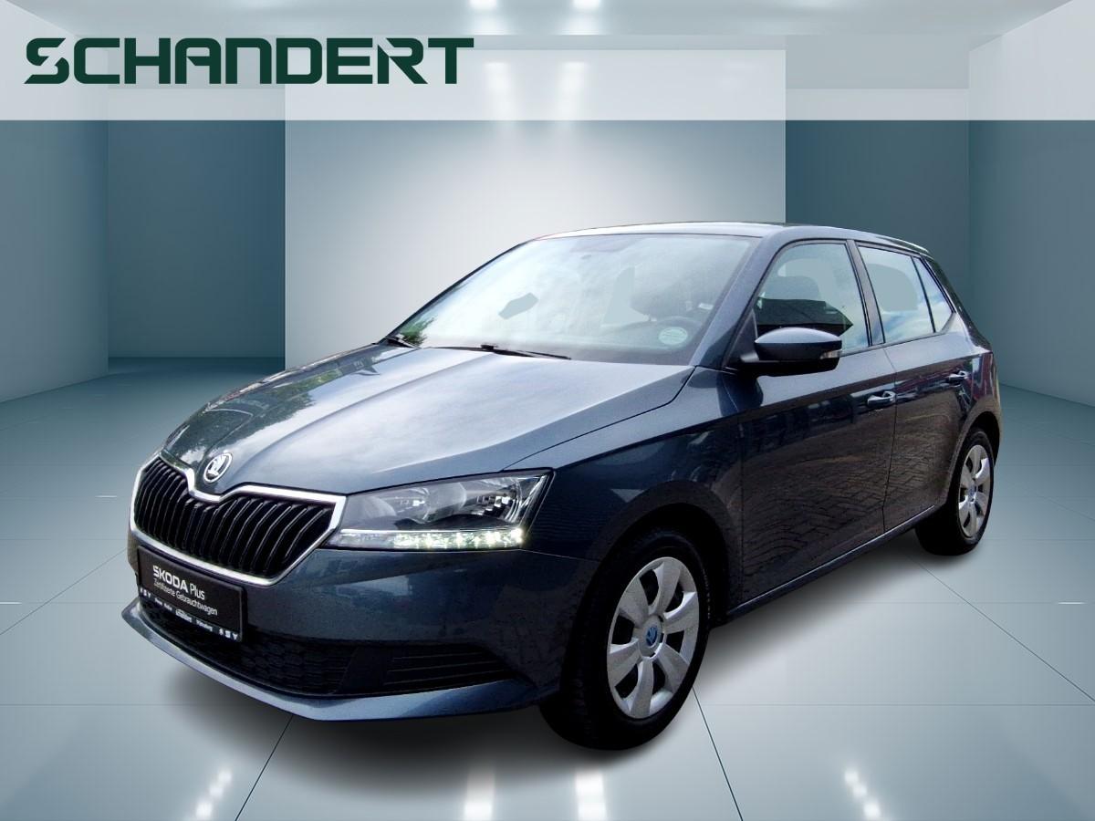 Skoda Fabia 1.0 MPI Cool Klima Sitzheizung PDC