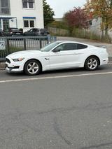 Ford Mustang 3,7 GT 350 Optik - Ford Mustang: Gt350