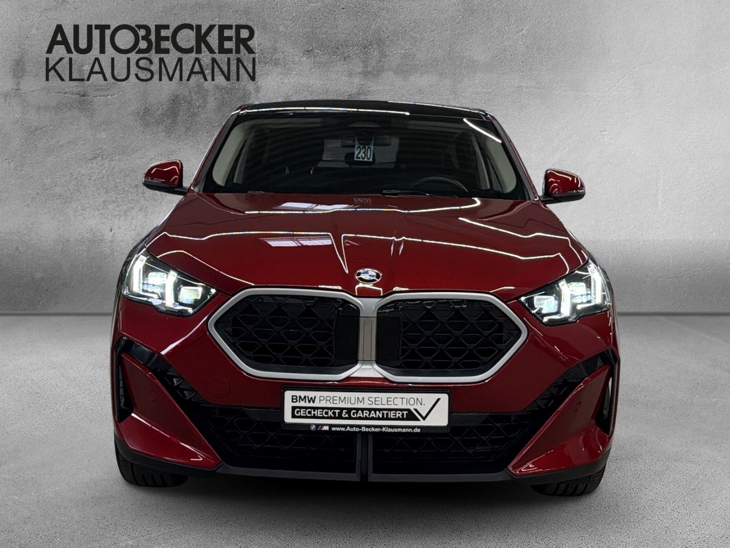BMW X2 sDrive20i AUTOMATIK 18''NAVI LED ALARM AHK PA foto 5