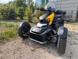 Can-Am Ryker 900  - TRIKE VON 751 BIS 1000 CCM