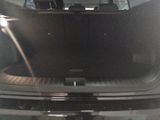 Kia Sportage Spirit 1.6 CRDi Mild Hybrid DriveWise-P - Kia Tageszulassungen mit Diesel-Antrieb