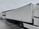 Schmitz Cargobull SKO24/L-13.4 FP 60- THERMO KING-SAF- LBW BÄR - Schmitz Cargobull SKO 24