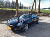 Mercedes-Benz SLK 350 BlueEFFICIENCY  - Mercedes-Benz SLK 350: Cabrio