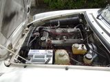 Alfa Romeo Spider 2,0 - Alfa Romeo Spider aus 1989
