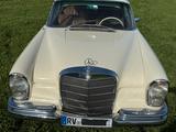 Mercedes-Benz 250 SE Coupe - weiße Mercedes-Benz 250