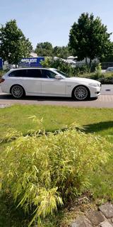 BMW bmw 525d Kombi, 335TKM,TÜV neu. - BMW 335 in Düsseldorf