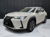 Lexus LEXUS UX 300e - UX 300e 54,3kWh Luxury - Lexus Elektroautos