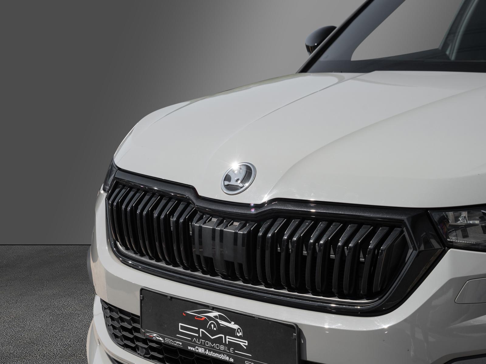 Skoda Kodiaq Sportline AHK Business-P. Amundsen DAB+