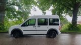Ford Tourneo Connect Lang - Ford Tourneo Connect: Lang