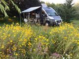 Adria Twin 500 s - Adria Kastenwagen