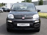 Fiat Panda 1.0 Base PDC KLIMA - Fiat Panda mit Benzin-Antrieb