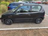 Fiat Seicento 1.1 TÜV 1/2027 - gebrauchte Fiat Seicento aus dem Jahr 2003