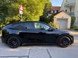 Tesla Model Y Performance Dual Motor AWD Performance - Tesla Model Y: Performance