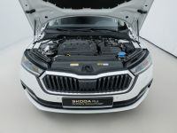 Skoda Octavia - Vorschau Bild 21