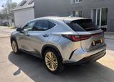 Lexus NX 450h+ E-FOUR Luxury Line - Lexus NX 450h mit Schiebedach