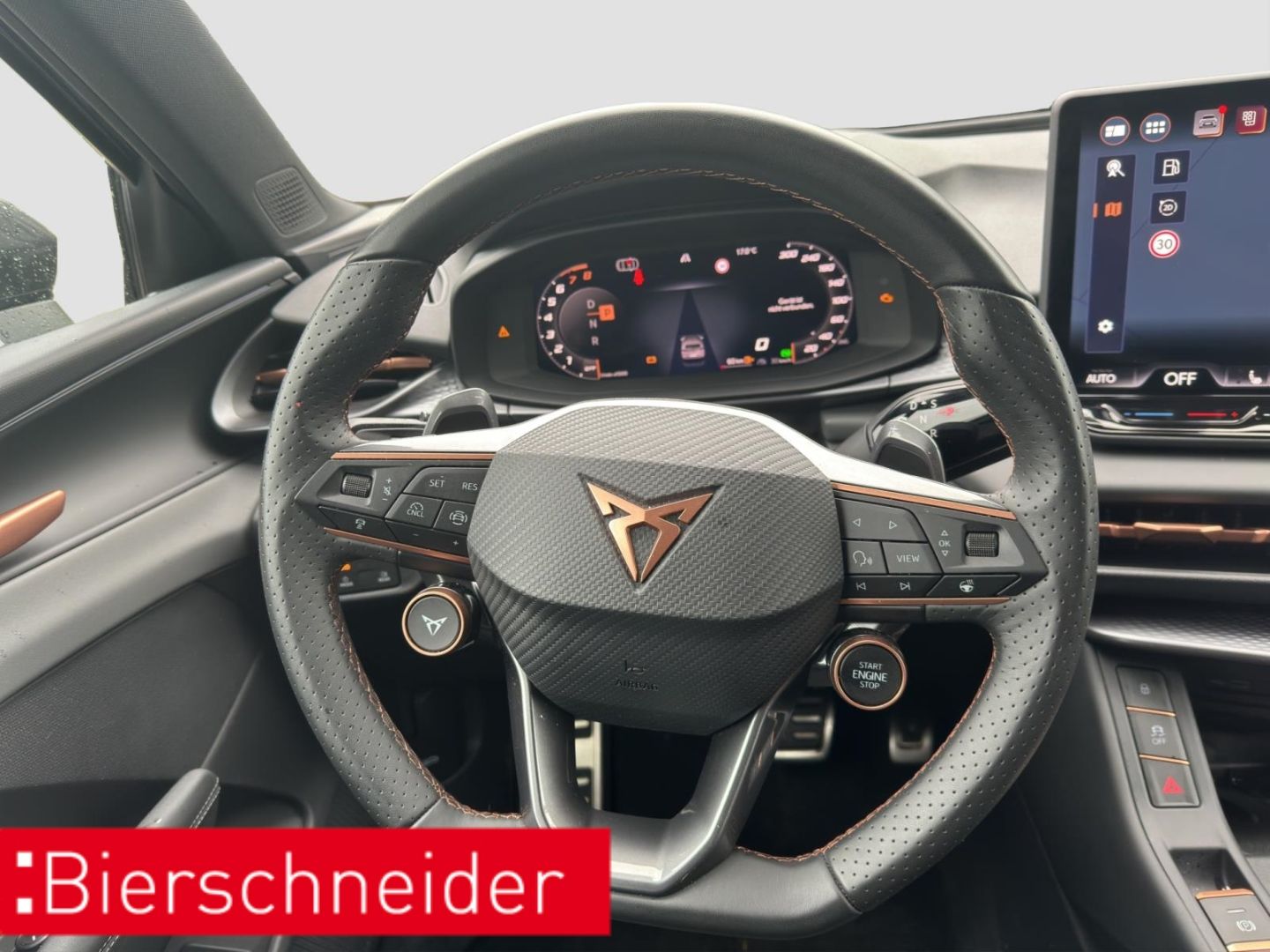 Cupra Terramar - Bild 14