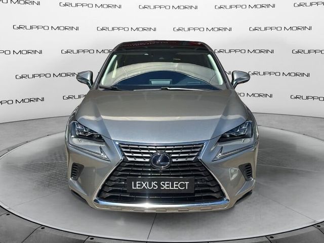 LEXUS ANDERE