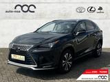 Lexus NX 300h Style Edition EU6d Navi LED Apple CarPla - schwarze Lexus NX-Serie