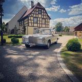 Mercedes-Benz Oldtimer Mercedes 250 S (W108) - Mercedes-Benz Gebrauchtwagen von 1967