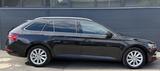 Skoda Superb Premium Edition 4x4 PANO/AUT/MEMORY/... - Skoda Superb in Duisburg