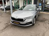 Skoda Octavia 1.0 eTSI DSG Ambition SMART/GRA/RFK/SH - Skoda Octavia: Limousine