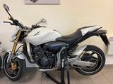 Honda Hornet 600-CB600FA-TOP Zustand-weiß - HONDA CB 600 F HORNET