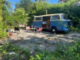 Volkswagen T2 Bulli Camper Westfalia Ausbau, guter Zustand - Volkswagen T2: Camper