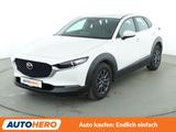 Mazda CX-30 2.0 SKYACTIV-G Prime-Line 2WD*NAVI*ACC*CAM - Mazda CX-30: Prime Line