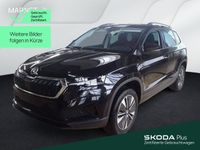 Skoda Karoq - Vorschau Bild 1
