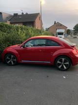 Volkswagen Beetle 1,4 TSI Turbo Vollleder - Volkswagen Beetle: Turbo