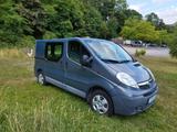 Opel Vivaro Kastenwagen  2.0 CDTI - Opel Vivaro: Kastenwagen