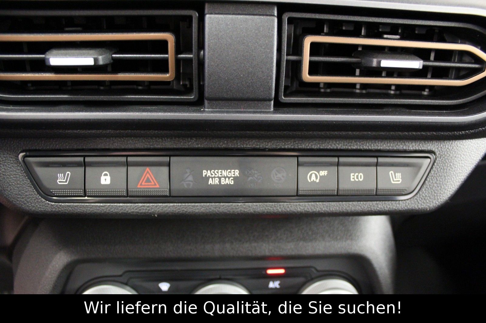 Fahrzeugabbildung Dacia Sandero Stepway Eco-G 100 Extreme+