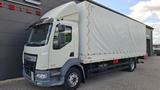 DAF LF260 LBW Palfinger Saxas Klima ACC - DAF Lf