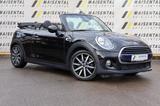 MINI Cooper Cabrio Pepper|PDC|MFL|NAV|SHZ|Temp|ISOFIX - MINI Cooper Cabrio Gebrauchtwagen