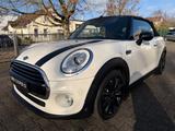 MINI Cooper D Cabrio Leder Chili Harman/Kardon 17Zoll - scheckheftgepflegte MINI Cooper D Cabrio