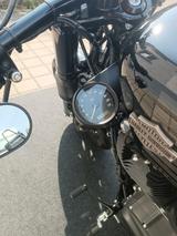 Harley-Davidson Sportster 48 XL 1200 - Harley-Davidson Motorräder in Mannheim