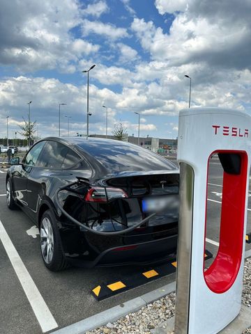 Otros Tesla Model Y Standard Range schwarz Allwe...