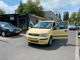 Fiat Panda 1.1 AllwetterReifen Gepflegt - Fiat Panda in Bonn